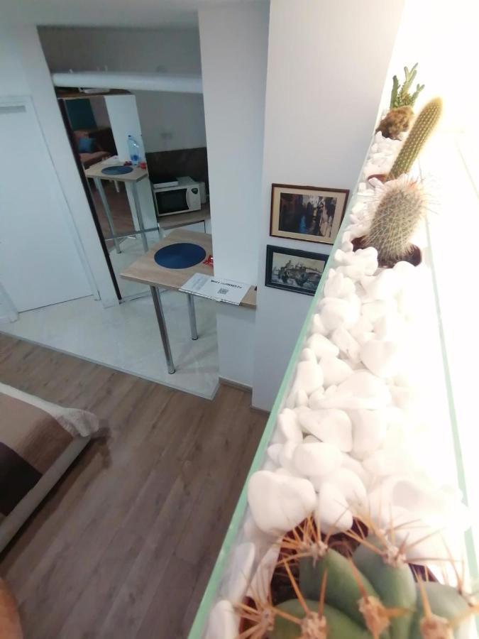 Apartman Dunja S Belgrado Exterior foto